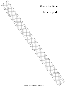 30cm Ruler Fourth-Centimeter Grid Printable Ruler