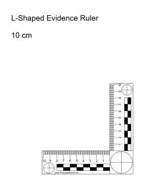 Evidence Ruler 10 Centimeters Printable Ruler