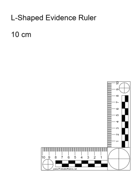 Evidence Ruler 10 Centimeters Printable Ruler