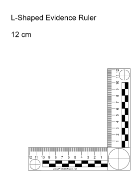 Evidence Ruler 12 Centimeters Printable Ruler