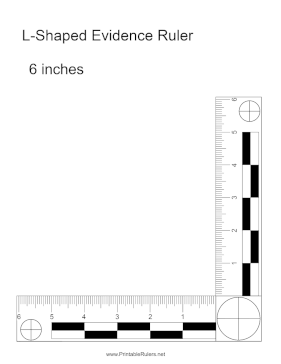 Evidence Ruler 6 Inches Printable Ruler