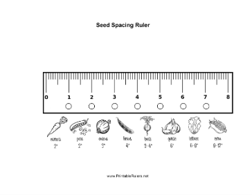 Seed Spacing Ruler Illustrated Printable Ruler
