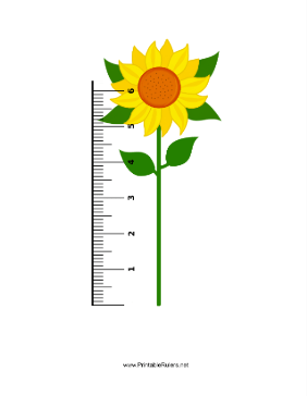 Sunflower Ruler Printable Ruler