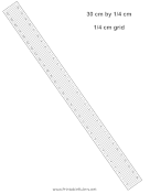 30cm Ruler Fourth-Centimeter Grid