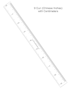 Cun Ruler With Centimeters