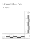 Evidence Ruler 6 Inches